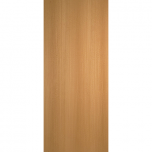 Oak Wall Door 50cm X 92cm